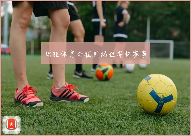 优酷体育全程直播世界杯赛事