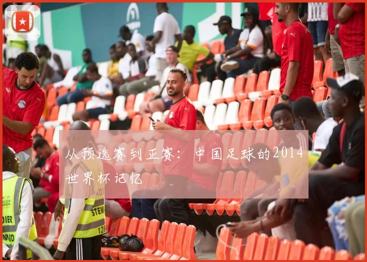 从预选赛到正赛：中国足球的2014世界杯记忆