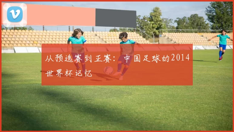 从预选赛到正赛：中国足球的2014世界杯记忆