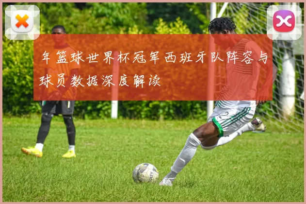 年篮球世界杯冠军西班牙队阵容与球员数据深度解读