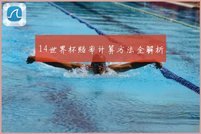 14世界杯赔率计算方法全解析