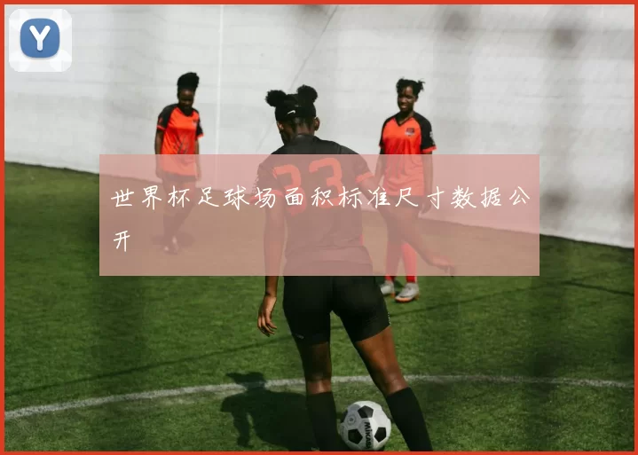 世界杯足球场面积标准尺寸数据公开