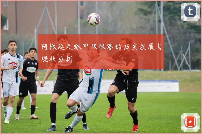 阿根廷足球甲级联赛的历史发展与现状分析