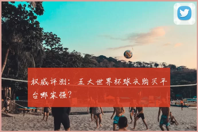 权威评测:五大世界杯球衣购买平台哪家强?