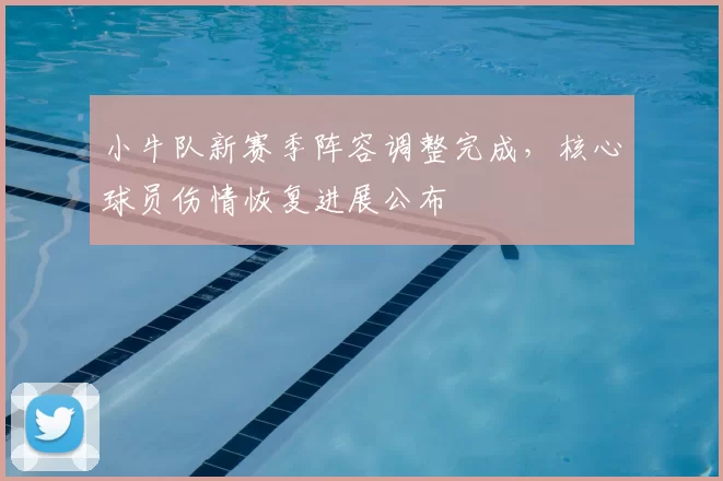 小牛队新赛季阵容调整完成,核心球员伤情恢复进展公布