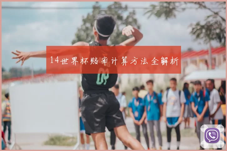 14世界杯赔率计算方法全解析